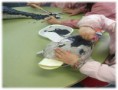 /album/pintamos-delfines/pintar-1-jpg/